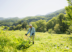 庭の草刈り・草むしり